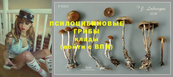 а пвп мука Краснослободск
