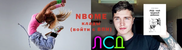 стаф Коряжма