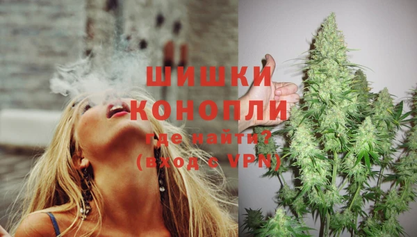 дурь Краснотурьинск