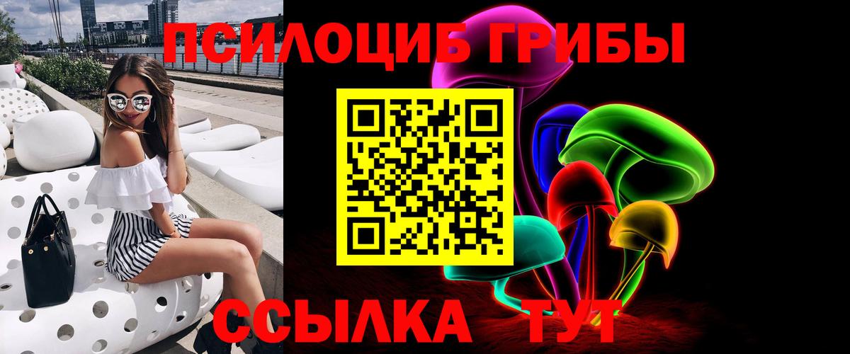 Чайковский  Псилоцибиновые грибы мухоморы  Вход с VPN  Псилоцибиновые грибы Cubensis 