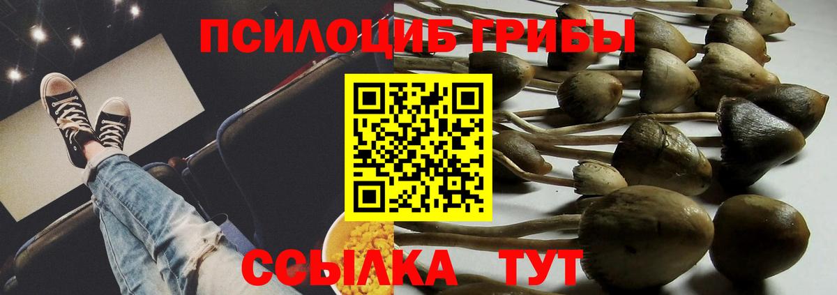 Галлюциногенные грибы Magic Shrooms Чайковский